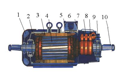 Tổng hợp 94+ hình về mô hình cấu tạo roto 16 Cấu tạo và nguyên lý hoạt động động cơ không đồng bộ Real Group